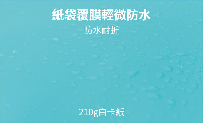 紙袋樣式 40